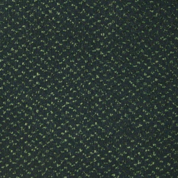 Wall to wall carpet Fortesse 1049