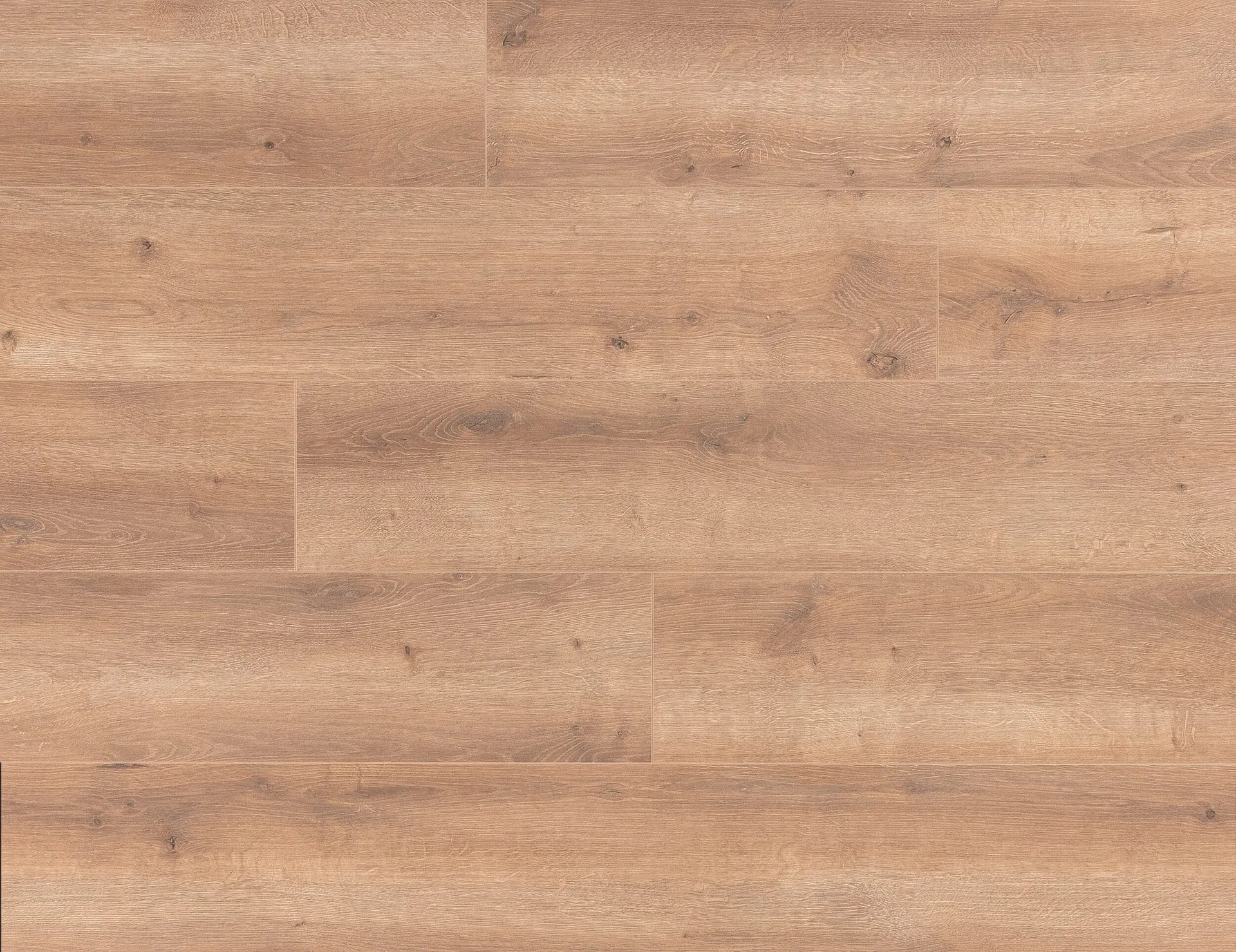 img_14087_e7d35361-1.webp LAMINATE CADENZA - 1207 ALL. NATURAL - Image 1