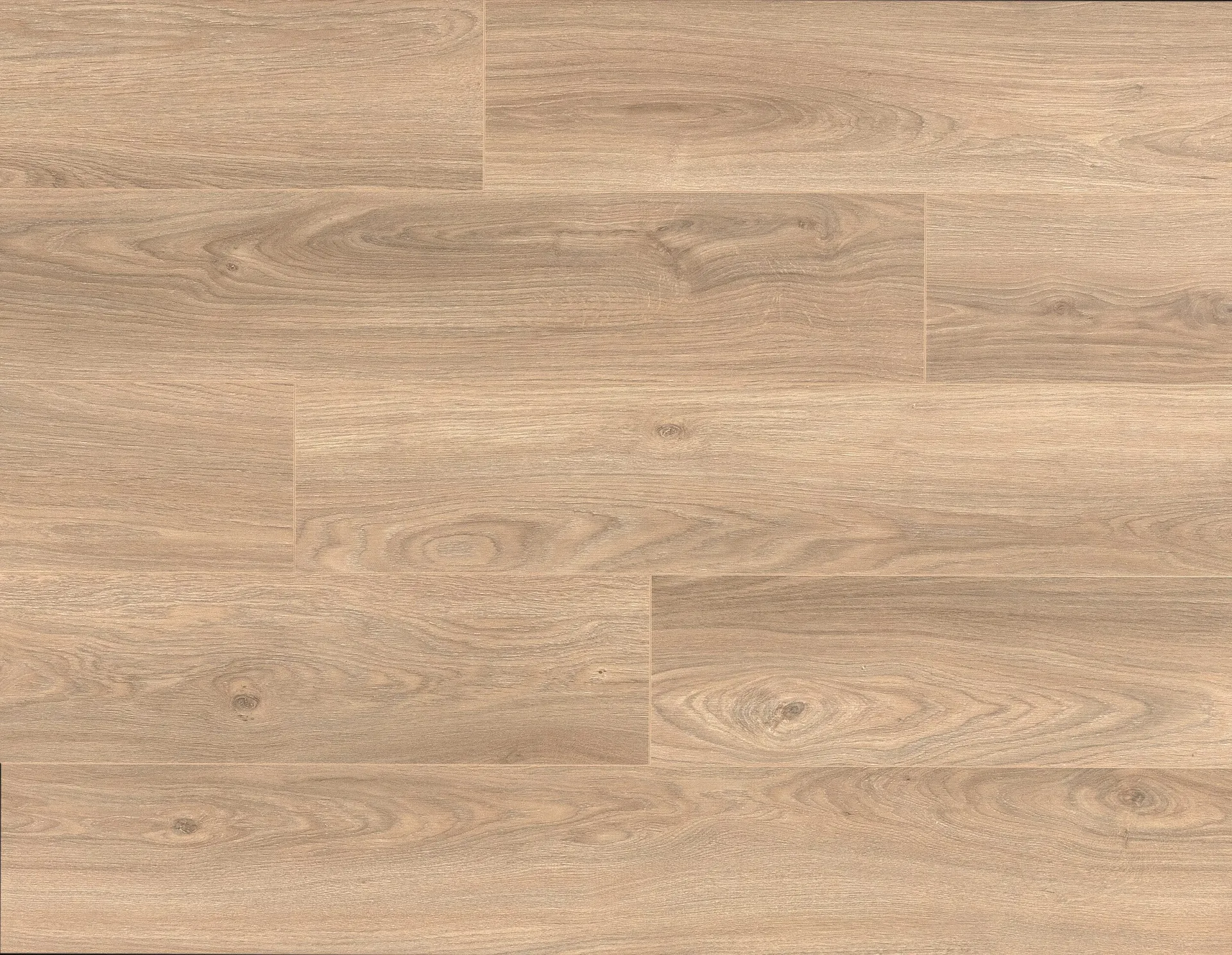 img_14088_44967b7c.webp LAMINATE CADENZA - 1305 LEG. LIGHT NATURAL - Image 1