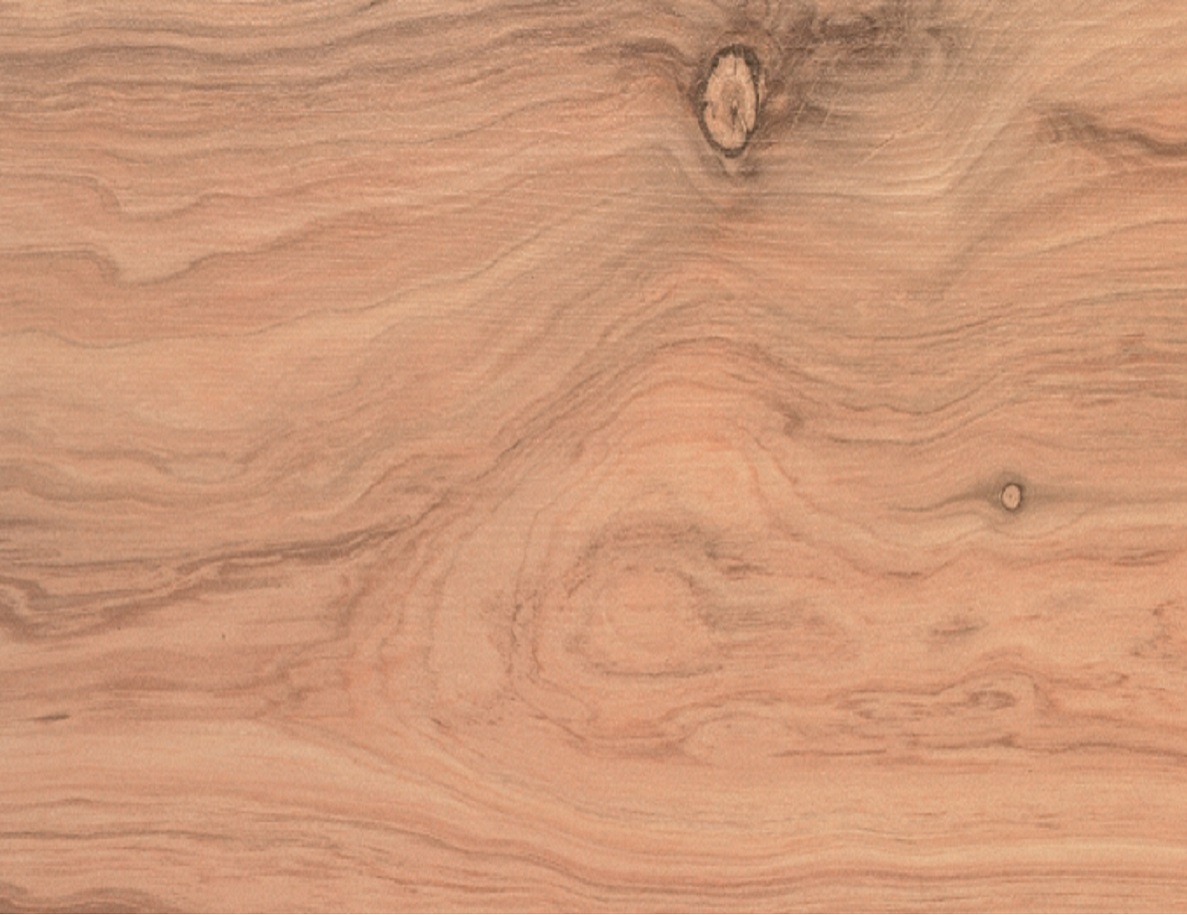 Tradition-sculpture-506-bal-ps-058775-2.jpg LAMINATE SCULPTURE - 506 NEVADA LARCH - Image 1