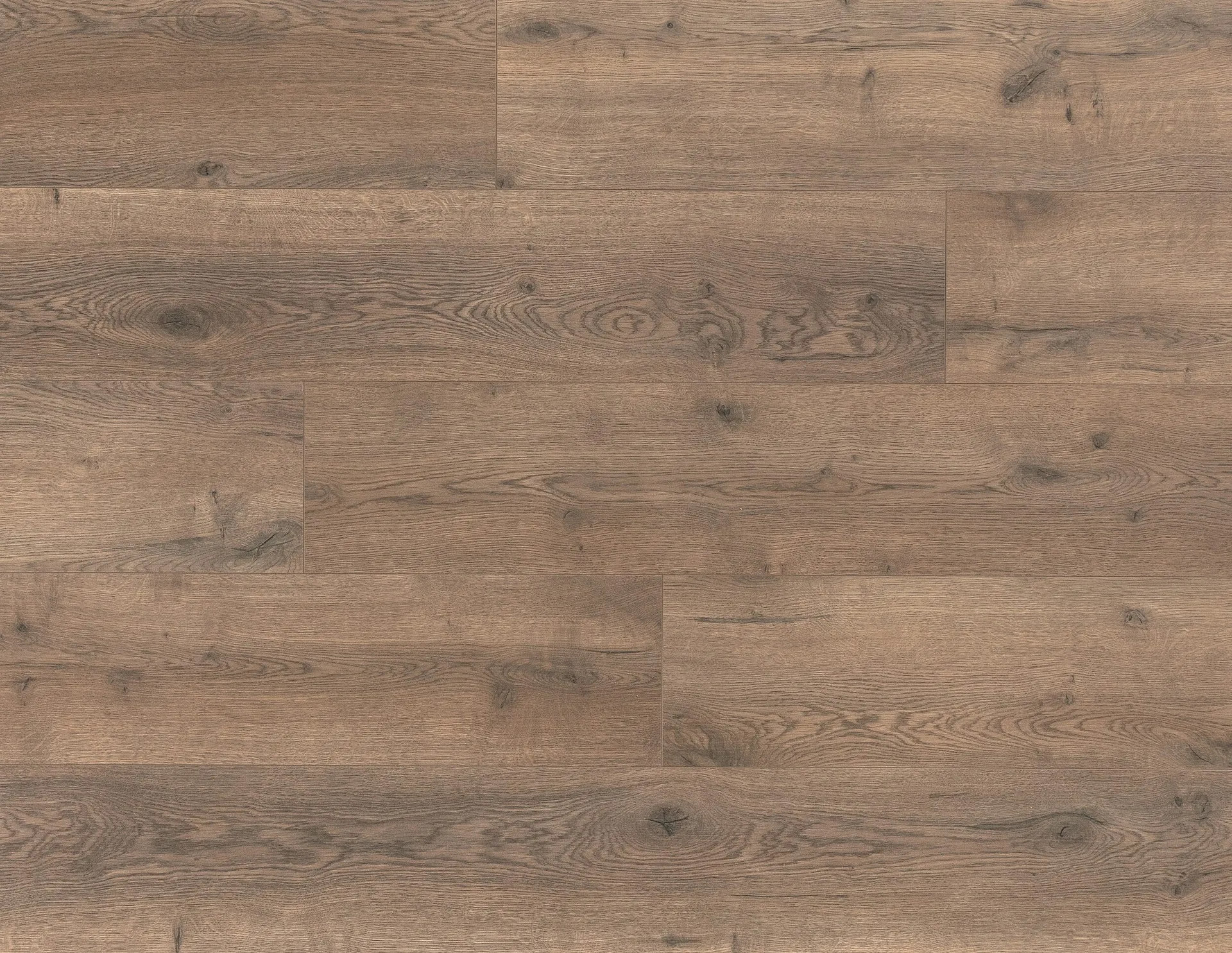 img_14090_0ab254b1.webp LAMINATE CADENZA - 1613 ALL. DARK BROWN - Image 1